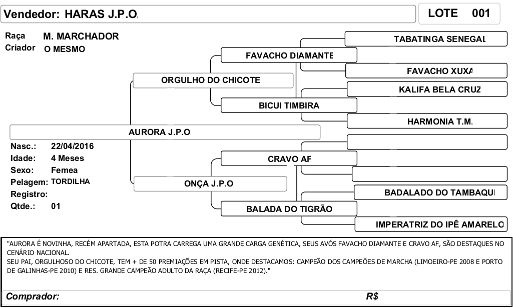 ficha_01