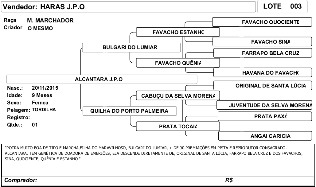 ficha_03