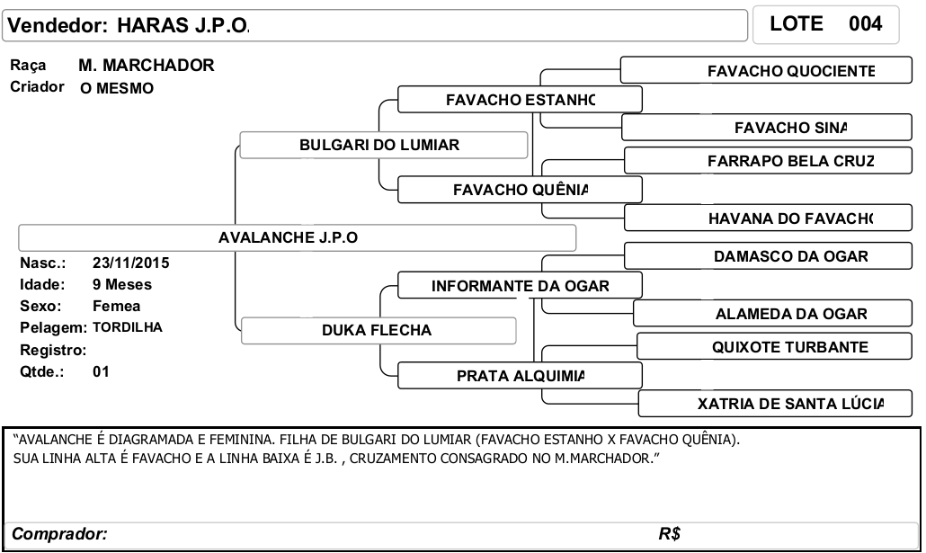 ficha_04