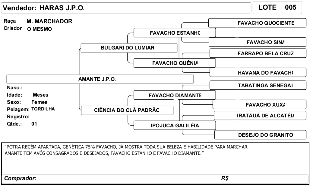 ficha_05