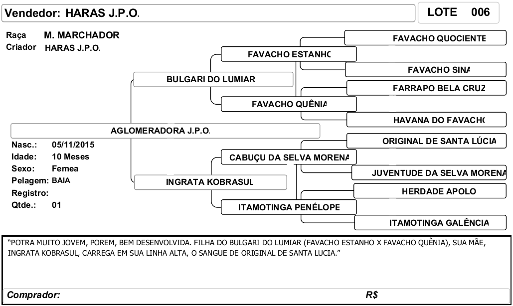 ficha_06