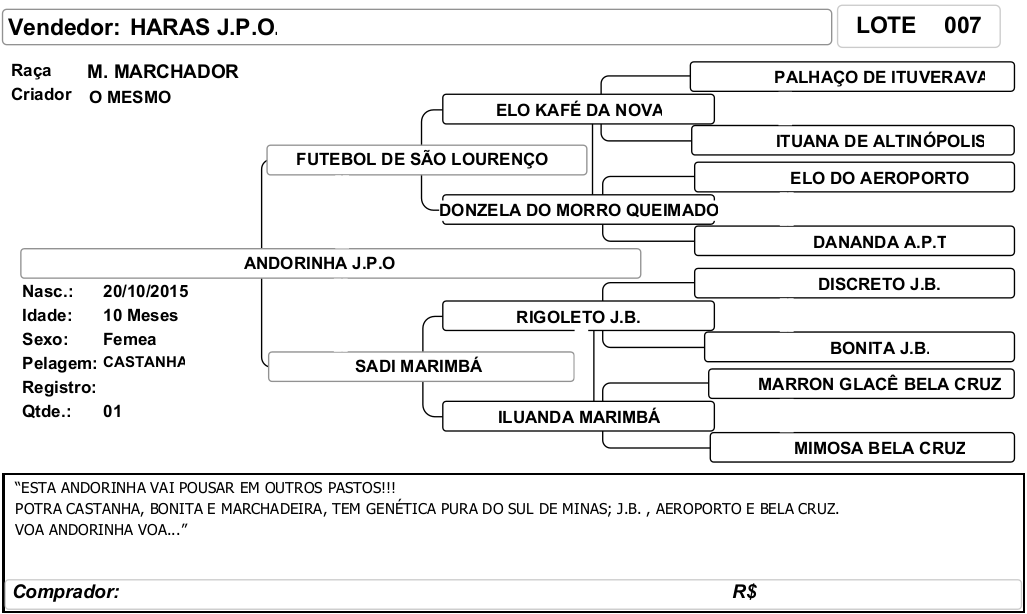 ficha_07