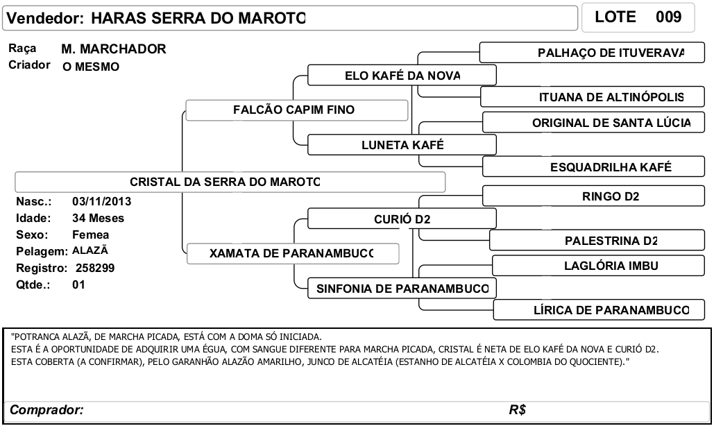 ficha_09