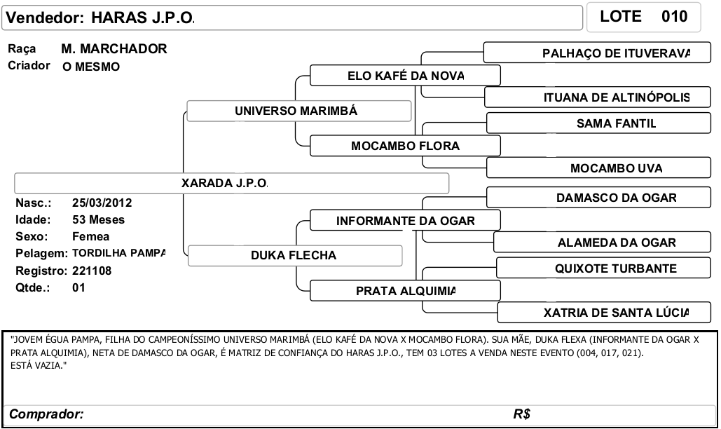 ficha_10