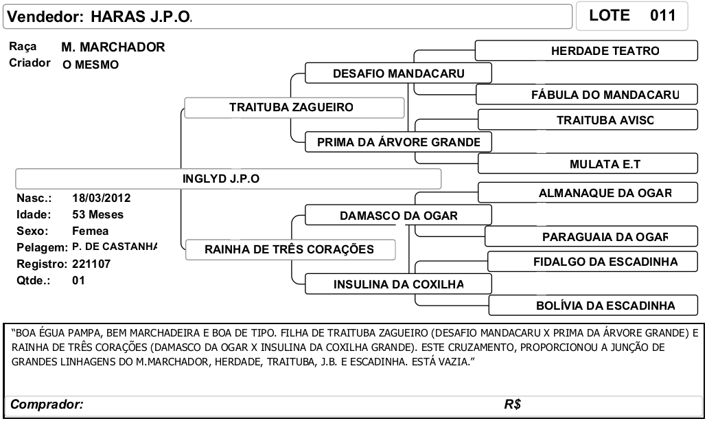 ficha_11