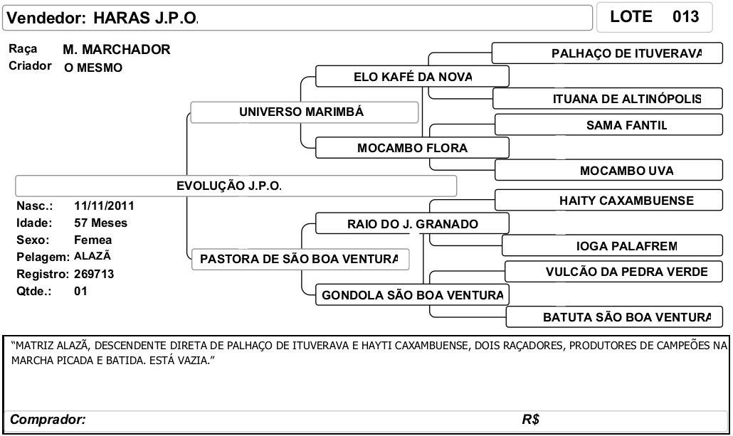 ficha_13