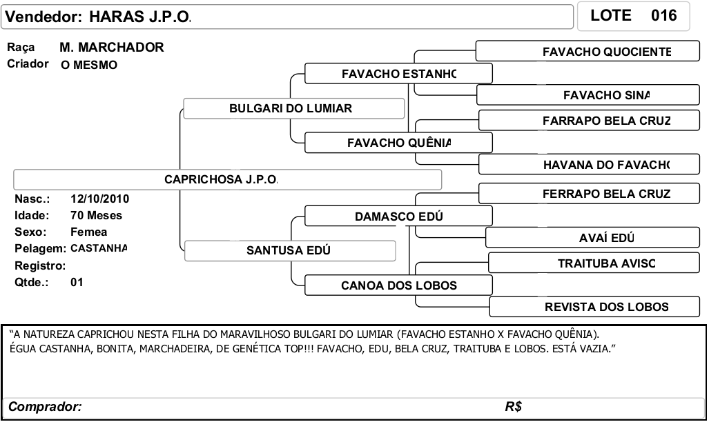 ficha_16