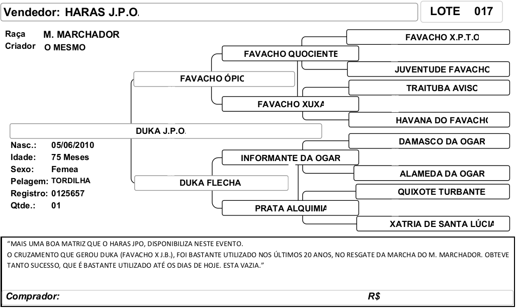 ficha_17