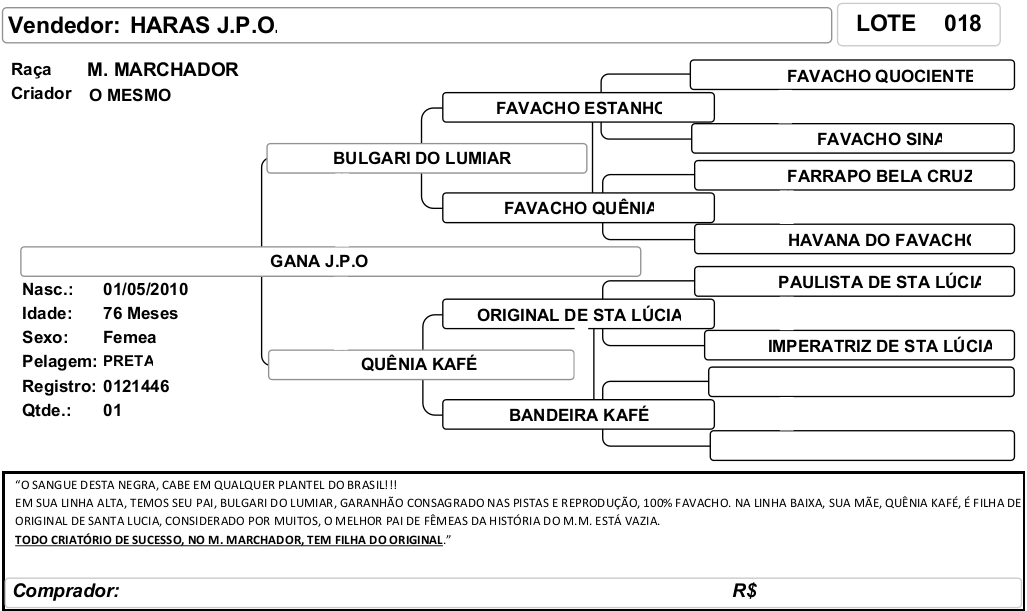 ficha_18