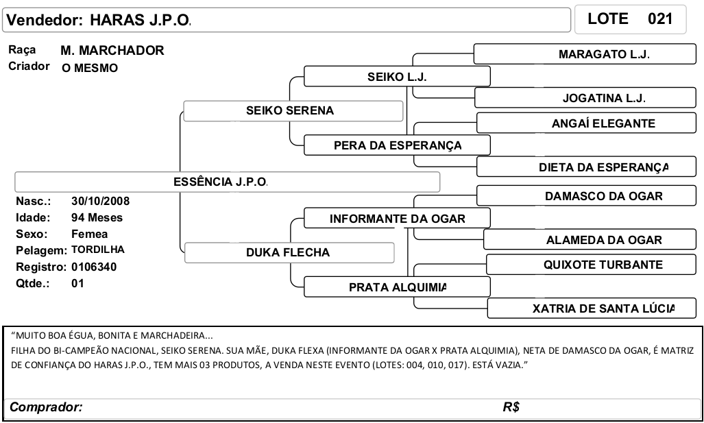 ficha_21