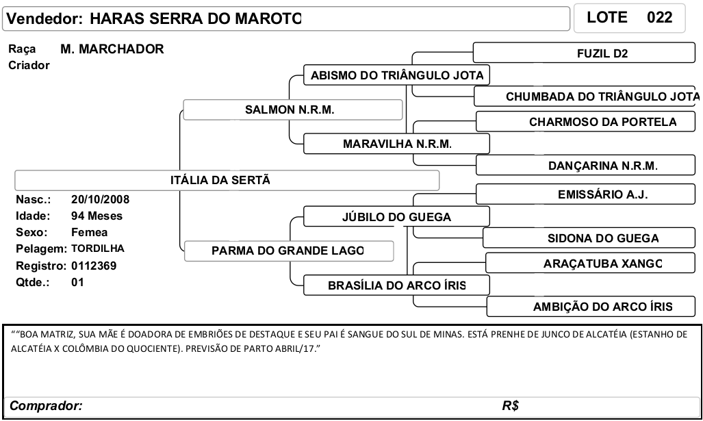 ficha_22