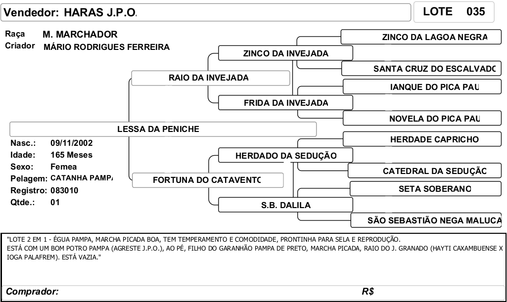 ficha_35