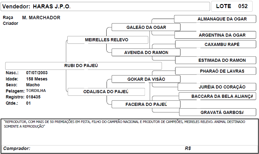 ficha_52