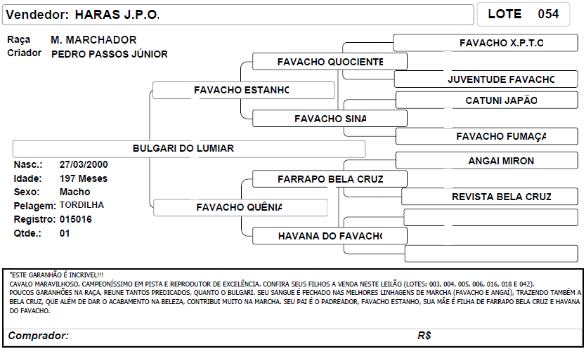 ficha_54