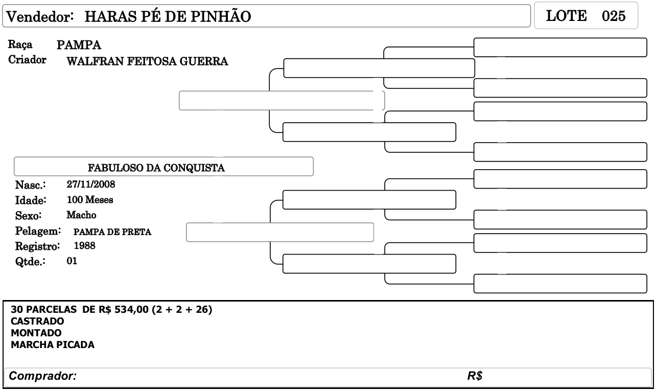 I_SHOPPING_CAVALO_PAMPA-FICHA025