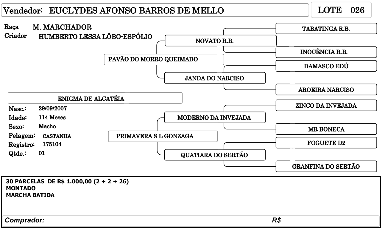 I_SHOPPING_CAVALO_PAMPA-FICHA026