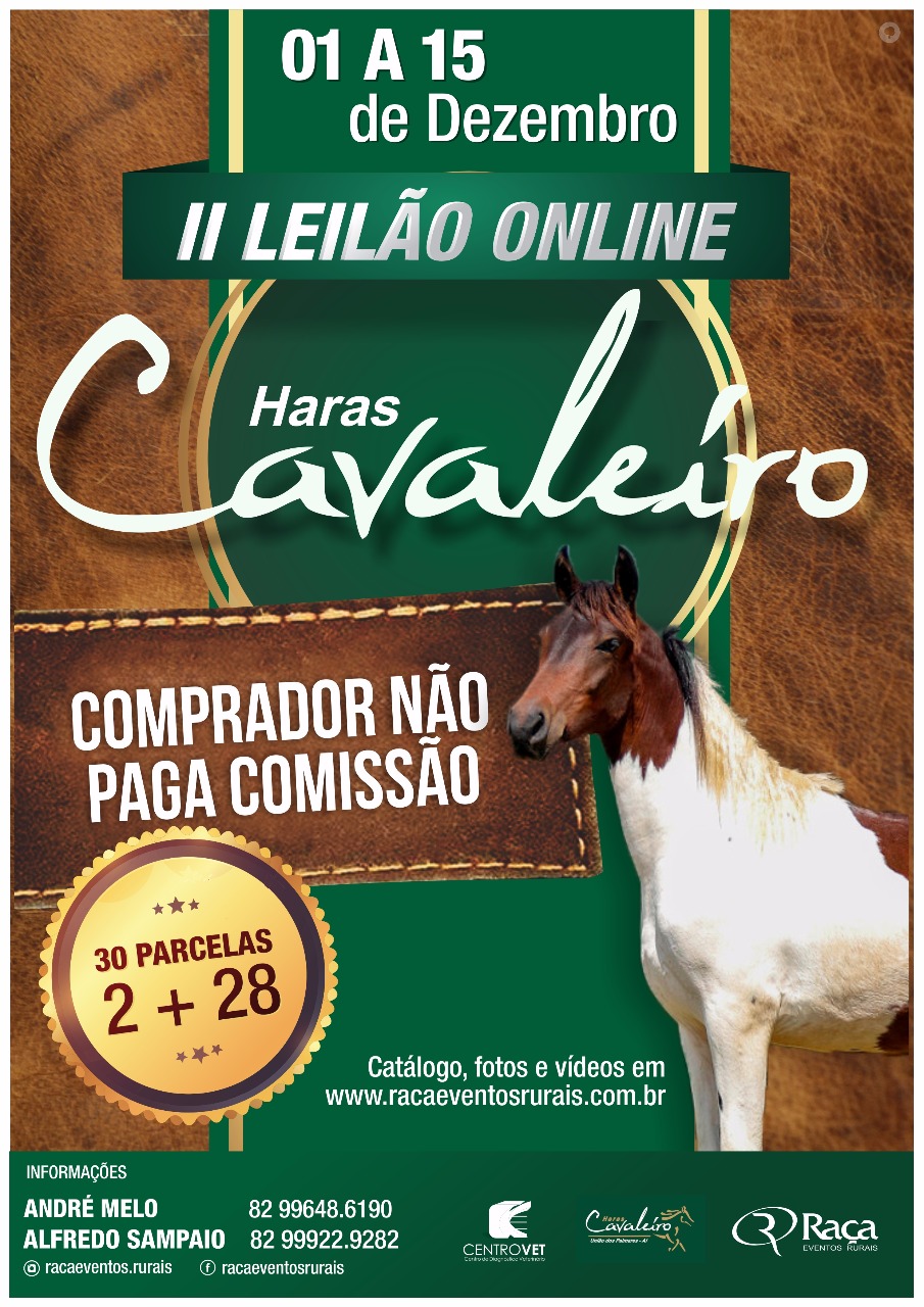 II LEILÃO ONLINE - HARAS CAVALEIRO